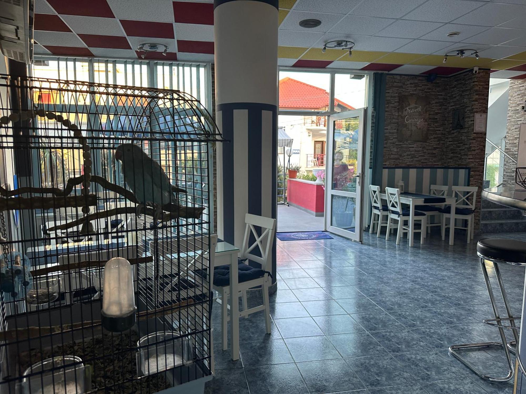 南埃福列 Plexus Boutique酒店 外观 照片