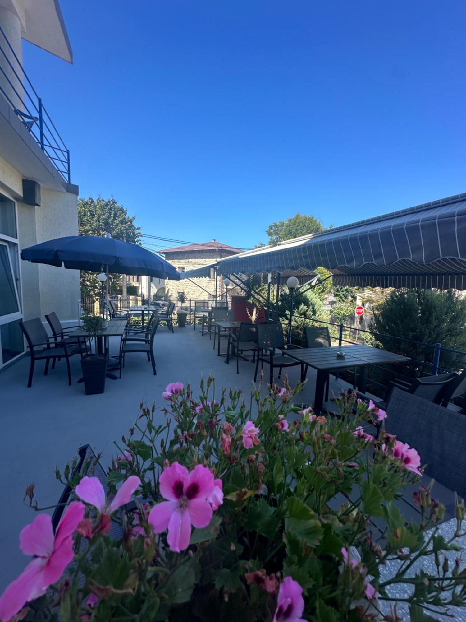 南埃福列 Plexus Boutique酒店 外观 照片