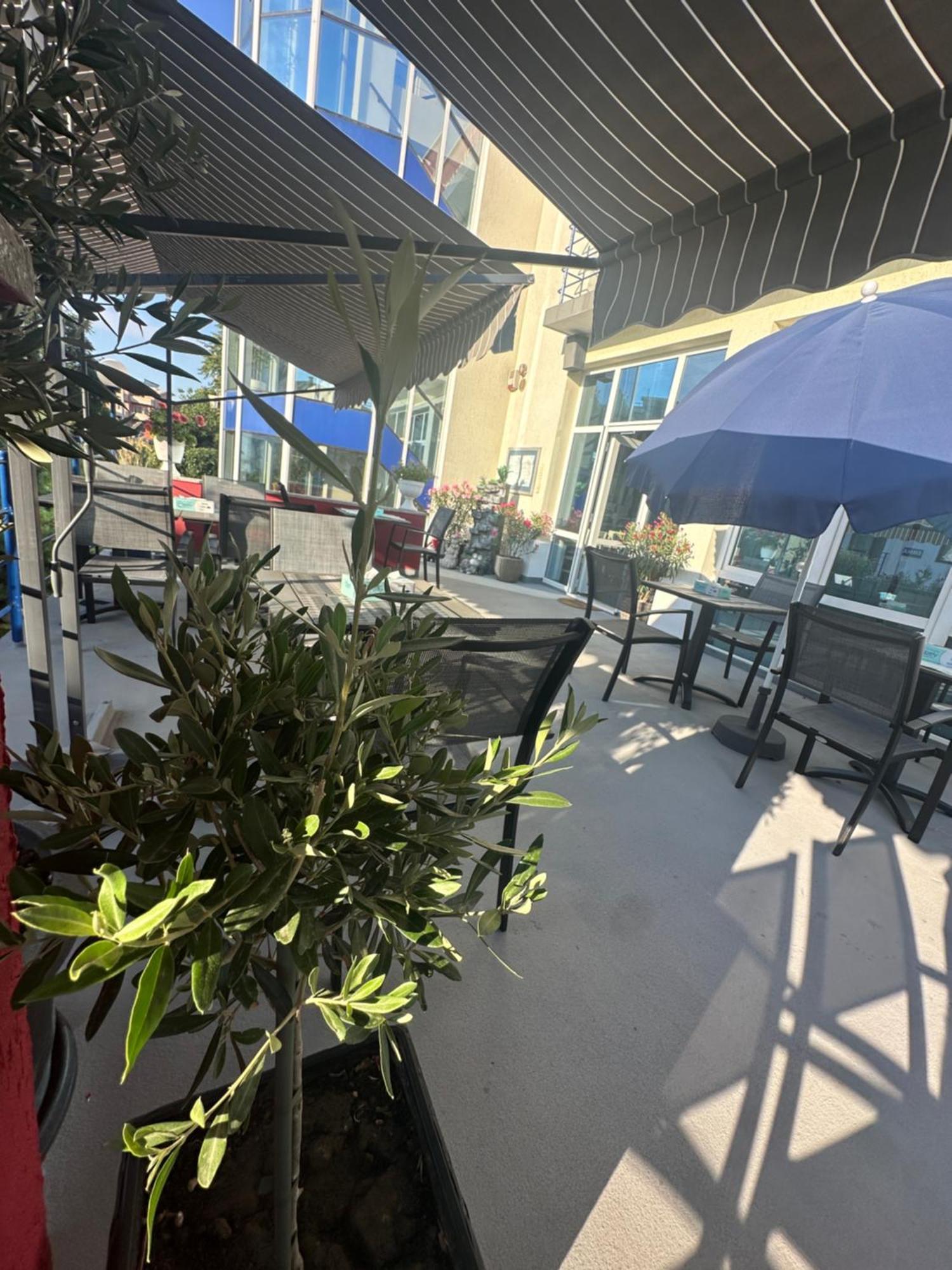 南埃福列 Plexus Boutique酒店 外观 照片